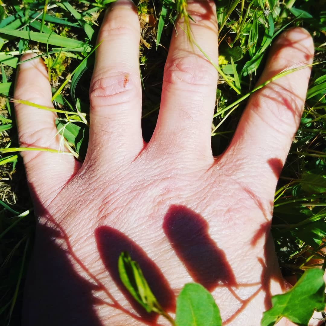 Hand resting on grass with leaf shadow