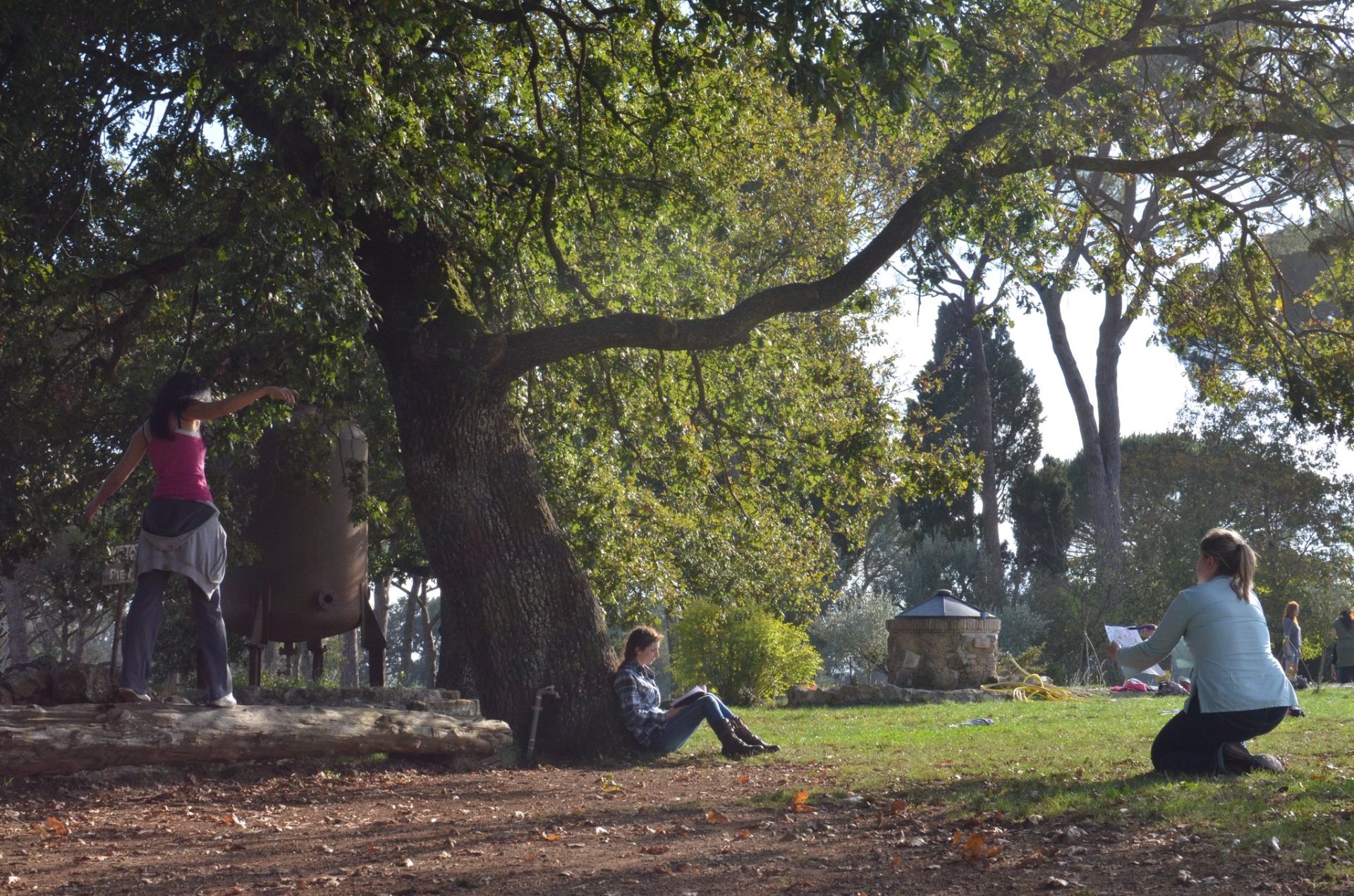 Outdoor workshop under oak trees